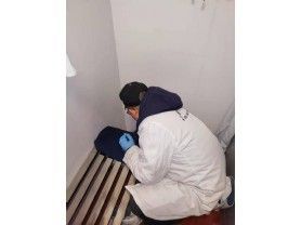 寧波公交集團消殺服務